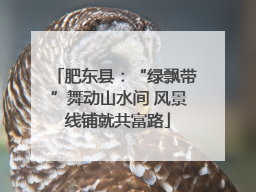 肥东县：“绿飘带”舞动山水间 风景线铺就共富路