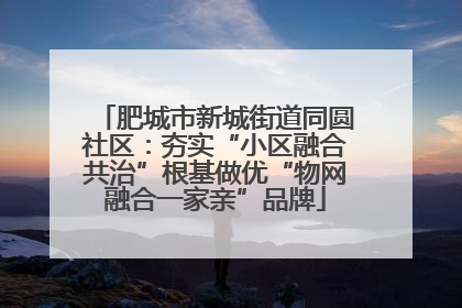 肥城市新城街道同圆社区：夯实“小区融合共治”根基做优“物网融合一家亲”品牌