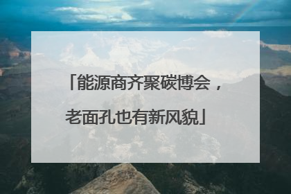 能源商齐聚碳博会，老面孔也有新风貌