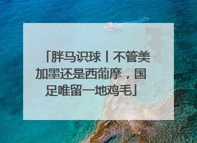 胖马识球丨不管美加墨还是西葡摩，国足唯留一地鸡毛