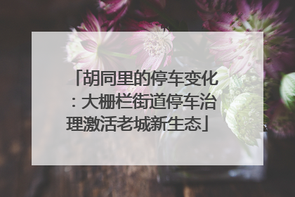 胡同里的停车变化：大栅栏街道停车治理激活老城新生态