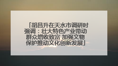 胡昌升在天水市调研时强调：壮大特色产业带动群众增收致富 加强文物保护推动文化创新发展