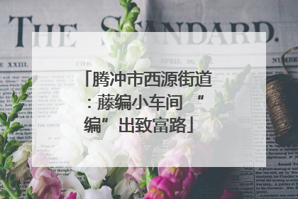 腾冲市西源街道：藤编小车间 “编”出致富路