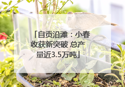 自贡沿滩：小春收获新突破 总产量近3.5万吨