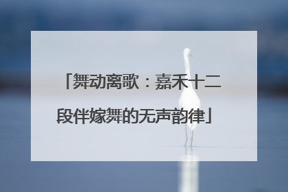 舞动离歌：嘉禾十二段伴嫁舞的无声韵律
