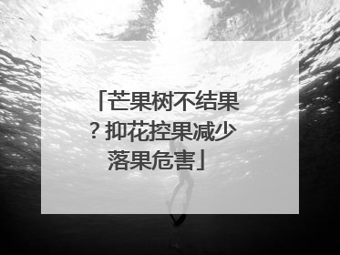 芒果树不结果？抑花控果减少落果危害