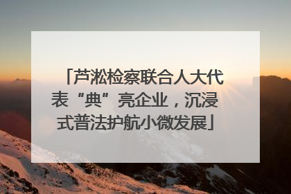 芦淞检察联合人大代表“典”亮企业，沉浸式普法护航小微发展