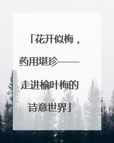 花开似梅，药用堪珍——走进榆叶梅的诗意世界