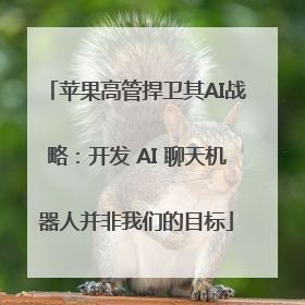 苹果高管捍卫其AI战略：开发 AI 聊天机器人并非我们的目标