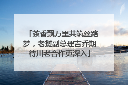 茶香飘万里共筑丝路梦，老挝副总理吉乔期待川老合作更深入