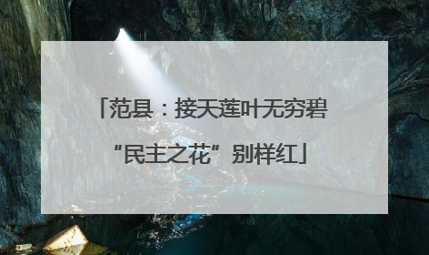 范县：接天莲叶无穷碧 “民主之花”别样红