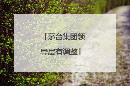 茅台集团领导层有调整