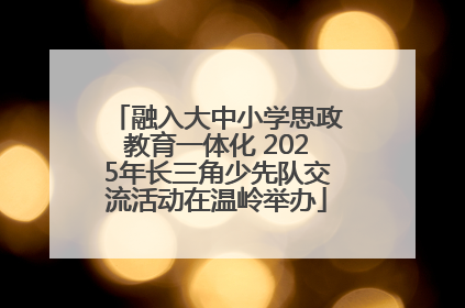 融入大中小学思政教育一体化 2025年长三角少先队交流活动在温岭举办