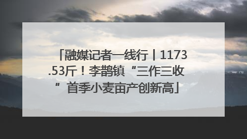融媒记者一线行丨1173.53斤！李鹊镇“三作三收”首季小麦亩产创新高