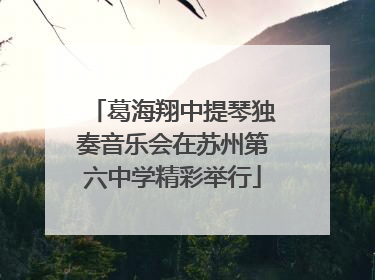葛海翔中提琴独奏音乐会在苏州第六中学精彩举行