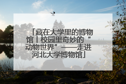 藏在大学里的博物馆丨校园里奇妙的“动物世界”——走进河北大学博物馆
