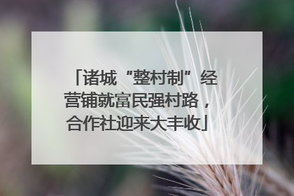 诸城“整村制”经营铺就富民强村路，合作社迎来大丰收