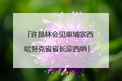 许昆林会见柬埔寨西哈努克省省长蒙西纳