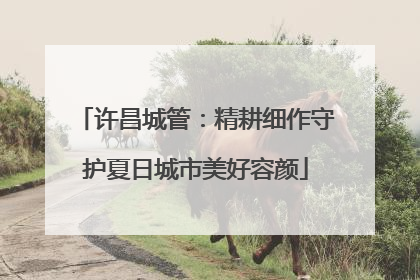 许昌城管：精耕细作守护夏日城市美好容颜