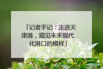记者手记：走进天津港，窥见未来现代化港口的模样