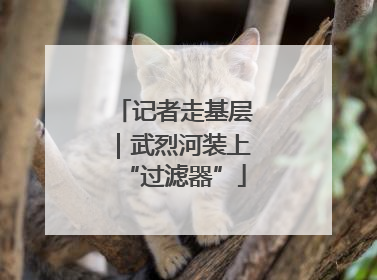 记者走基层｜武烈河装上“过滤器”