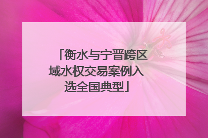 衡水与宁晋跨区域水权交易案例入选全国典型