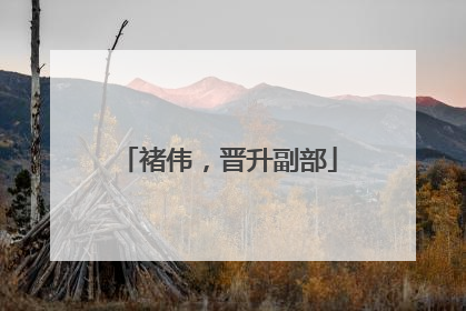 褚伟，晋升副部