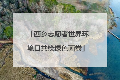 西乡志愿者世界环境日共绘绿色画卷