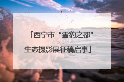 西宁市“雪豹之都”生态摄影展征稿启事