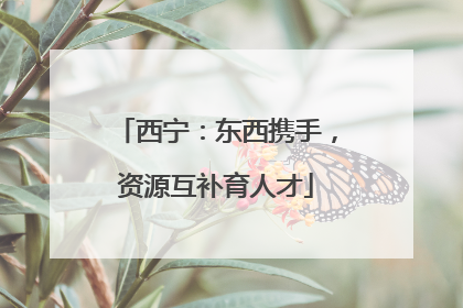 西宁：东西携手，资源互补育人才