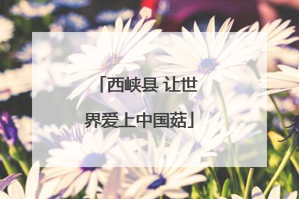 西峡县 让世界爱上中国菇