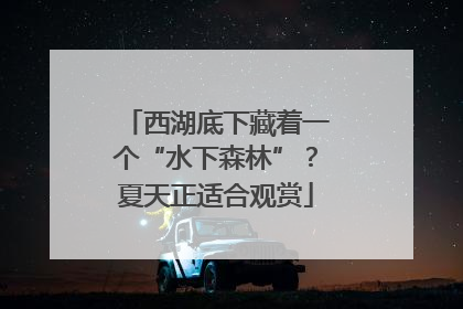 西湖底下藏着一个“水下森林”？夏天正适合观赏