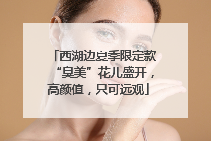 西湖边夏季限定款“臭美”花儿盛开，高颜值，只可远观