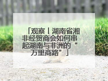 观察丨湖南省湘非经贸商会如何串起湖南与非洲的“万里商路”