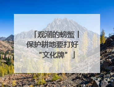 观潮的螃蟹丨保护耕地要打好“文化牌”