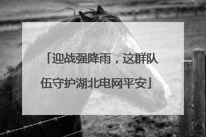 迎战强降雨，这群队伍守护湖北电网平安