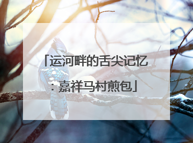 运河畔的舌尖记忆：嘉祥马村煎包