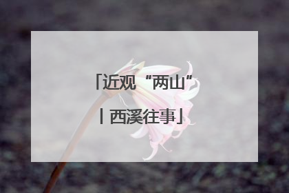 近观“两山”丨西溪往事