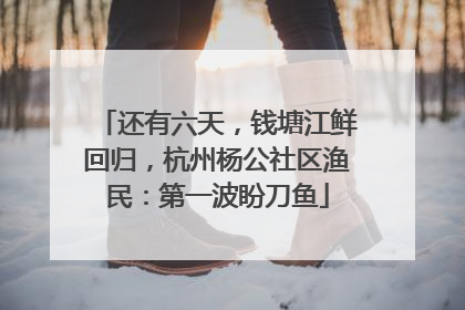 还有六天，钱塘江鲜回归，杭州杨公社区渔民：第一波盼刀鱼