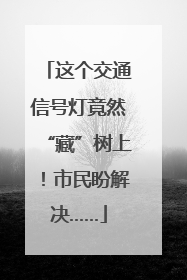 这个交通信号灯竟然“藏”树上！市民盼解决……