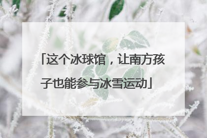这个冰球馆，让南方孩子也能参与冰雪运动