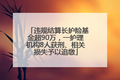 违规结算长护险基金超90万，一护理机构8人获刑、相关损失予以追缴