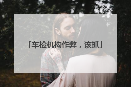 车检机构作弊，该抓