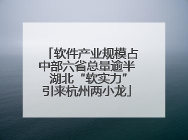软件产业规模占中部六省总量逾半 湖北“软实力”引来杭州两小龙