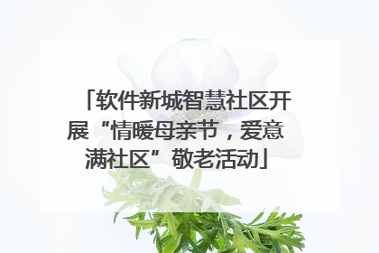 软件新城智慧社区开展“情暖母亲节，爱意满社区”敬老活动