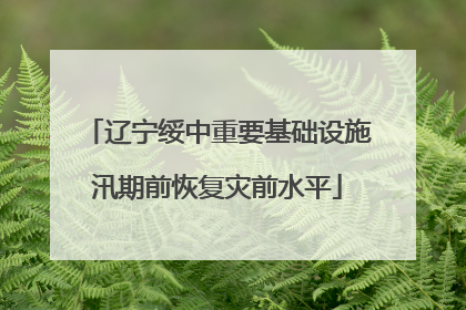 辽宁绥中重要基础设施汛期前恢复灾前水平