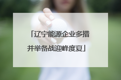 辽宁能源企业多措并举备战迎峰度夏