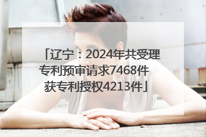 辽宁：2024年共受理专利预审请求7468件 获专利授权4213件