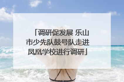 调研促发展 乐山市少先队鼓号队走进凤凰学校进行调研