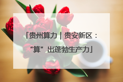 贵州算力｜贵安新区：“算”出蓬勃生产力